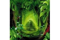Fantasy